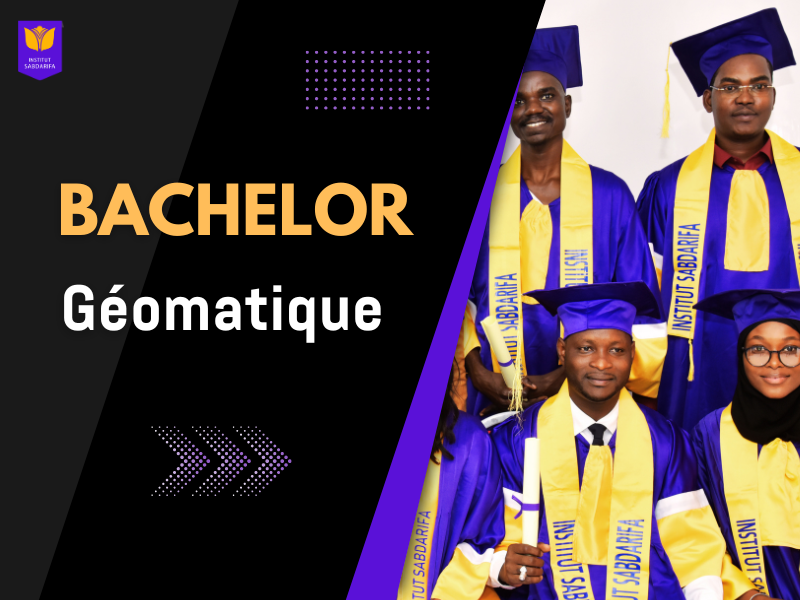 Bachelor Géomatique